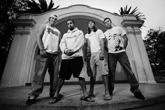 10623057-rebelution